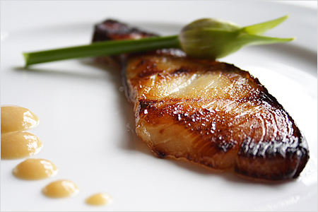 Black Cod with Miso / Miso-marinated Black Cod