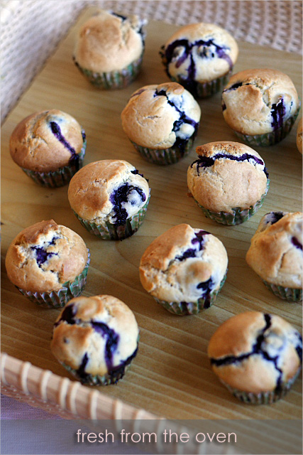 Recipes for blueberry muffins