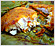 Ikan Panggang / Malaysian Grilled Fish Recipe