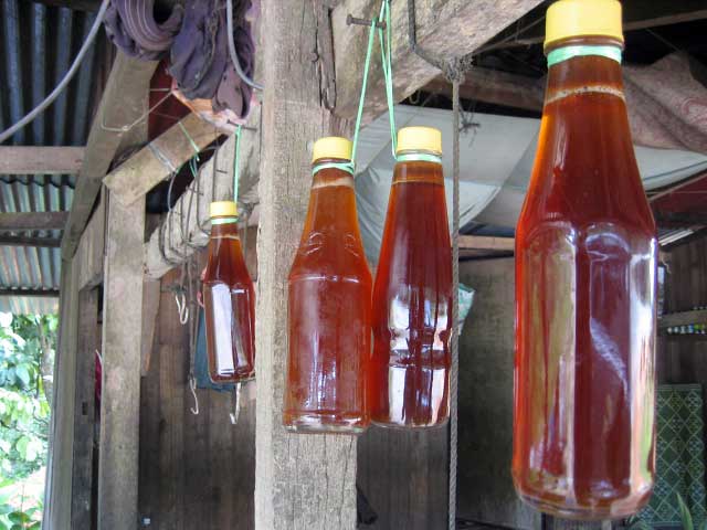 Honey