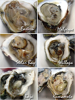 Shellfish