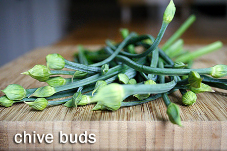 Chive Buds